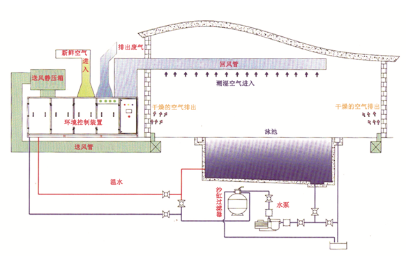 瀚宇水處理：如果做好這些，奧運(yùn)泳池怎么會“綠”?